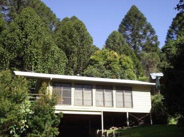 Fern Cottage - Holiday Home - Coogee Beach Accommodation 5