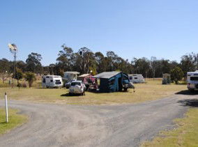 Crows Nest Caravan Park - Coogee Beach Accommodation 2