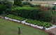 Mulanah Gardens Bed And Breakfast Cottages - thumb 5