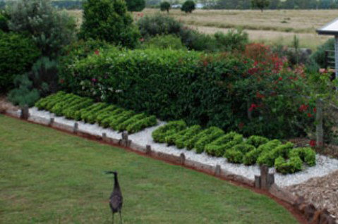Mulanah Gardens Bed And Breakfast Cottages - Coogee Beach Accommodation 5