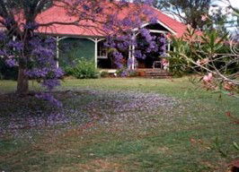 Minmore Farmstay Bed And Breakfast - Coogee Beach Accommodation 0