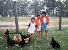 Minmore Farmstay Bed And Breakfast - Coogee Beach Accommodation 1