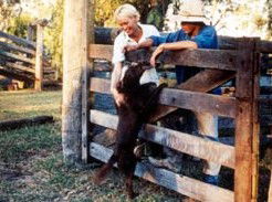Minmore Farmstay Bed And Breakfast - Coogee Beach Accommodation 2