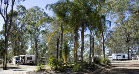 Barambah Bush Caravan Park - Coogee Beach Accommodation 1