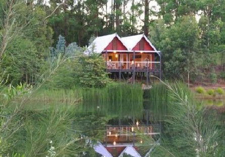Cloudlake Mountain Retreat - Coogee Beach Accommodation 5