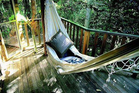 Narrows Escape Rainforest Retreat - Coogee Beach Accommodation 0