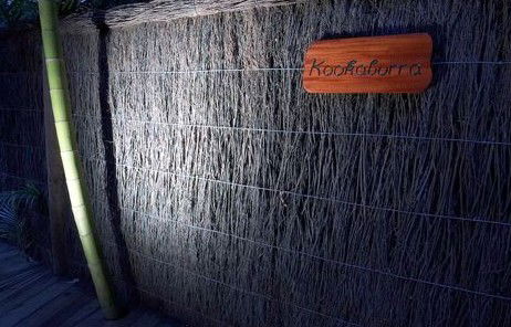 Narrows Escape Rainforest Retreat - Coogee Beach Accommodation 1