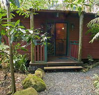 Springbrook Lyrebird Retreat - Coogee Beach Accommodation