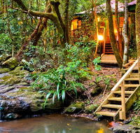 The Mouses House - Rainforest Retreat - Coogee Beach Accommodation