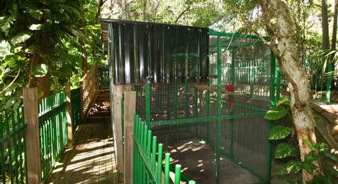 Ashmore Palms Holiday Village - Coogee Beach Accommodation 3