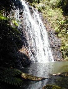 Beechmont QLD Coogee Beach Accommodation