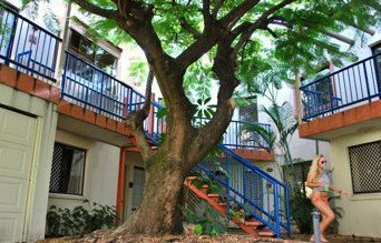 Surfers Paradise QLD Coogee Beach Accommodation