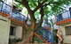 Sleeping Inn Backpackers Resort - thumb 0