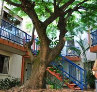 Sleeping Inn Backpackers Resort - Coogee Beach Accommodation