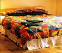 Cinnamon Coloureds Farmstay - Coogee Beach Accommodation 1