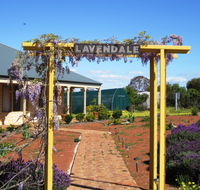 Lavendale Farmstay and Cottages - Coogee Beach Accommodation