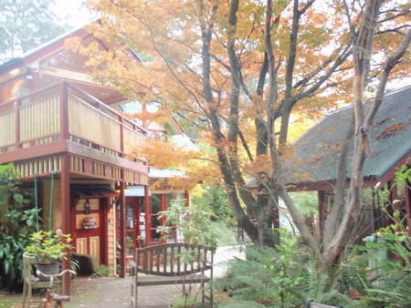 Como Cottage Accommodation - Coogee Beach Accommodation 0