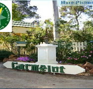 Carmelot Bed  Breakfast - Coogee Beach Accommodation