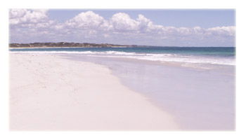 Sun City Holidays - Coogee Beach Accommodation 0