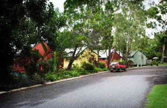 Gumnut Glen Cabins - Coogee Beach Accommodation 2