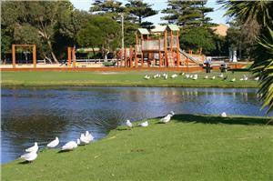 Fig Tree Holiday Village - Coogee Beach Accommodation 3