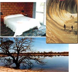 Wave Rock Resort - Coogee Beach Accommodation 0