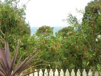 Seashells Apartment - Unit 1 - Coogee Beach Accommodation 4