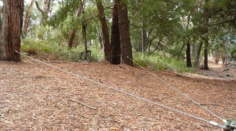 UC Camping Norval - Coogee Beach Accommodation 2