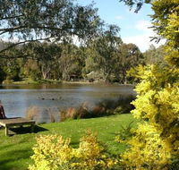 The Burrow at Wombat Bend Bed and Breakfast - Coogee Beach Accommodation