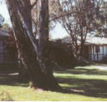 Winbi River Resort - Coogee Beach Accommodation