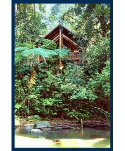 The Canopy Treehouses - Coogee Beach Accommodation 1