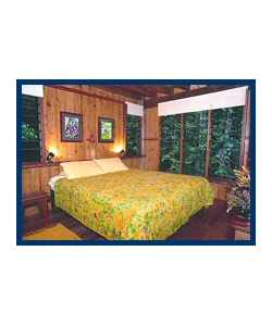The Canopy Treehouses - Coogee Beach Accommodation 3