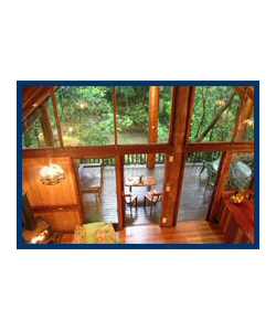 The Canopy Treehouses - Coogee Beach Accommodation 4