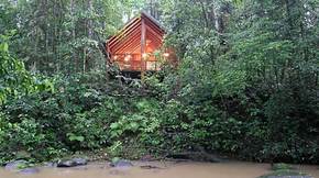 The Canopy Treehouses - Coogee Beach Accommodation 5