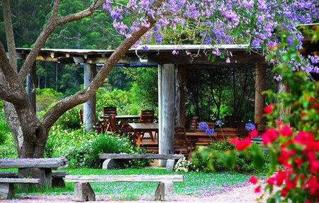 Bago Vineyards - Coogee Beach Accommodation 1