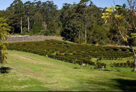 Bago Vineyards - Coogee Beach Accommodation 2
