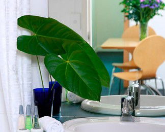 The Point Brisbane - Coogee Beach Accommodation 2