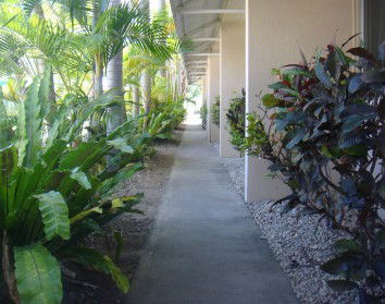 Palm Waters Holiday Villas - Coogee Beach Accommodation 2