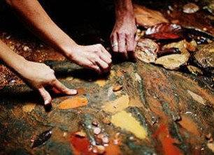 Daintree Eco Lodge And Spa - Coogee Beach Accommodation 0