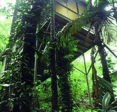 Daintree Eco Lodge And Spa - Coogee Beach Accommodation 1