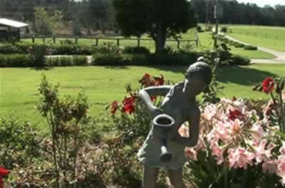 Jacaranda Country Lodge - Coogee Beach Accommodation 2