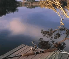 Jacaranda Country Lodge - Coogee Beach Accommodation 4