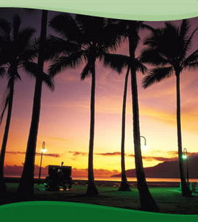 Bay Village Tropical Retreat, Cairns - Coogee Beach Accommodation 1