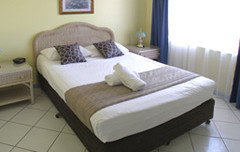 Koala Court Holiday Apartments - Coogee Beach Accommodation 3