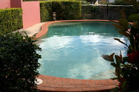 Albion Manor Apartments And Motel - Coogee Beach Accommodation 1