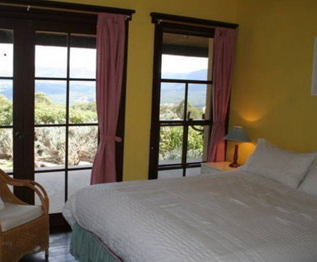 Glyn Newydd - Coogee Beach Accommodation 5