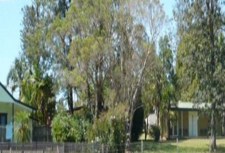 Nimbin Backpackers At Grannys Farm - Coogee Beach Accommodation 0