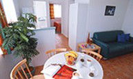 Tweed River Hacienda Holiday Park - Coogee Beach Accommodation 2