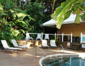 Palm Cove Tropic Apartments - Coogee Beach Accommodation 1