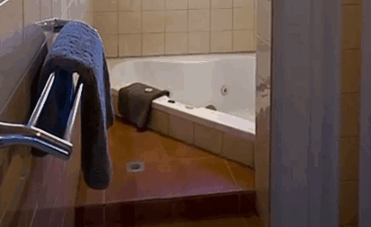Swansea Motor Inn - Coogee Beach Accommodation 5